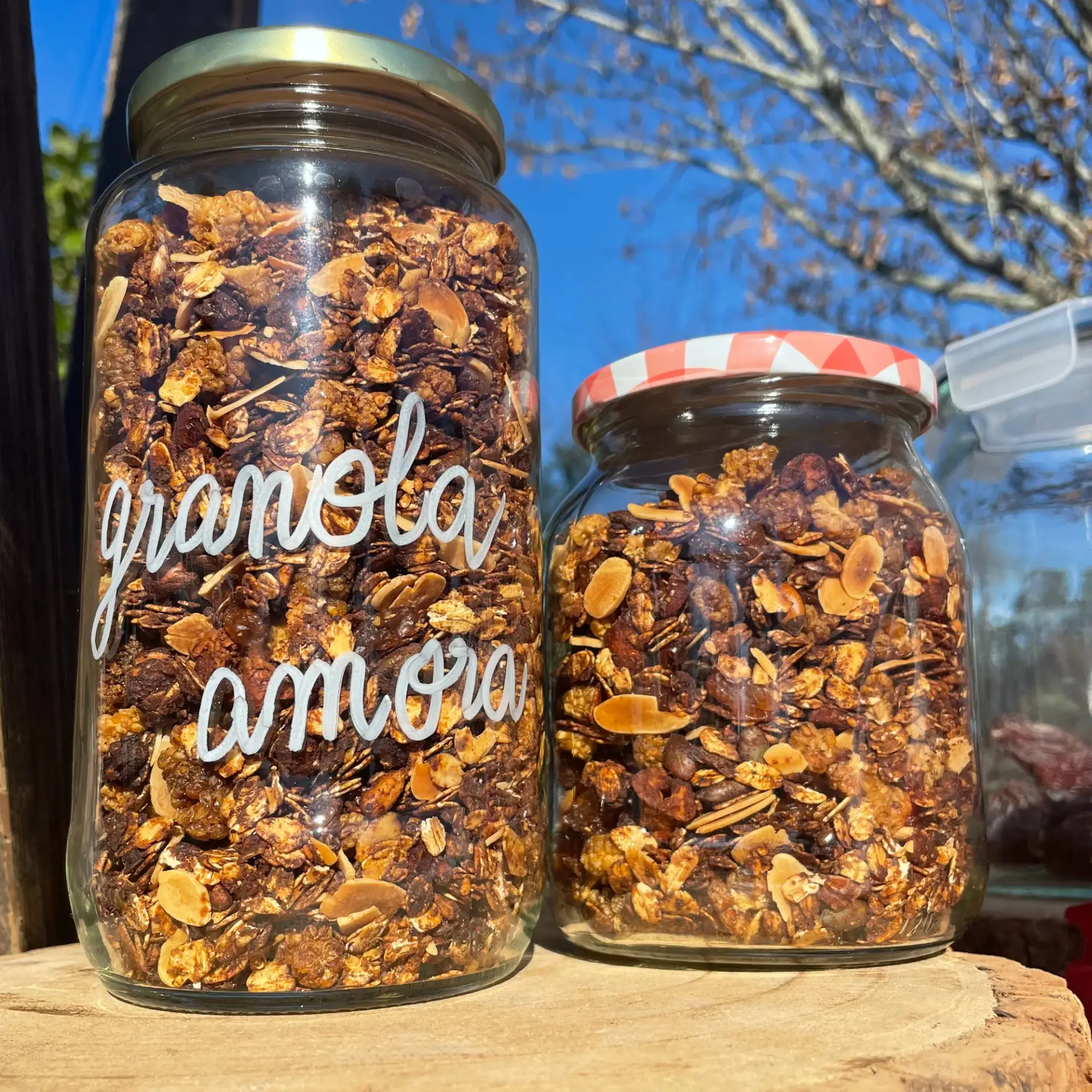 Frasco de Granola de Amora