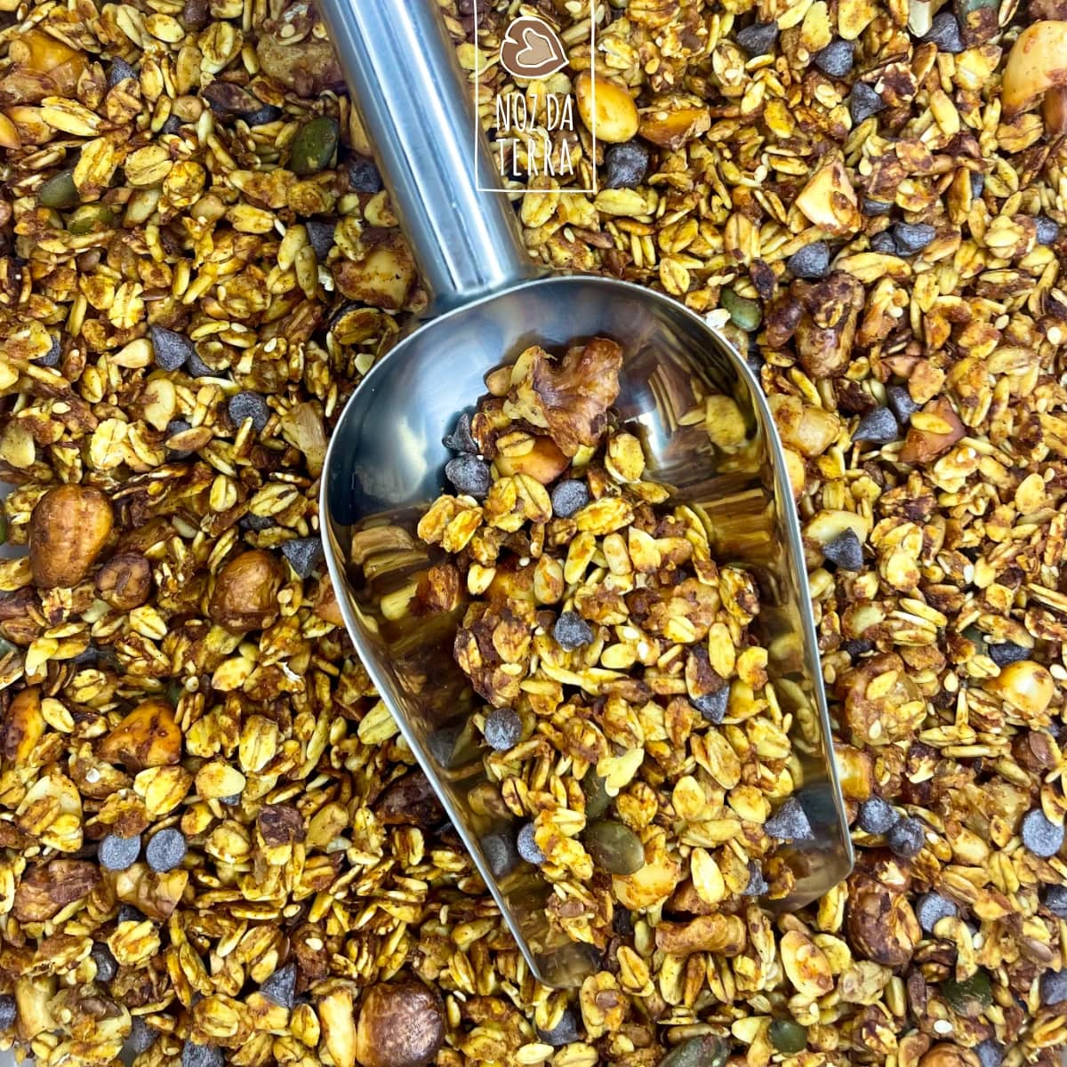 granola de abóbora a granel noz da terra