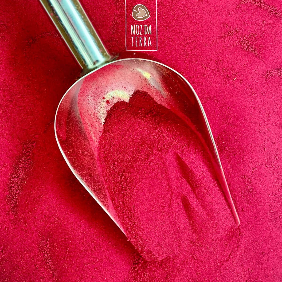 comprar Beterraba em Pó a Granel: Um superalimento versátil, ideal para smoothies, sobremesas e pratos criativos. Rico em fibras, vitaminas e minerais essenciais.