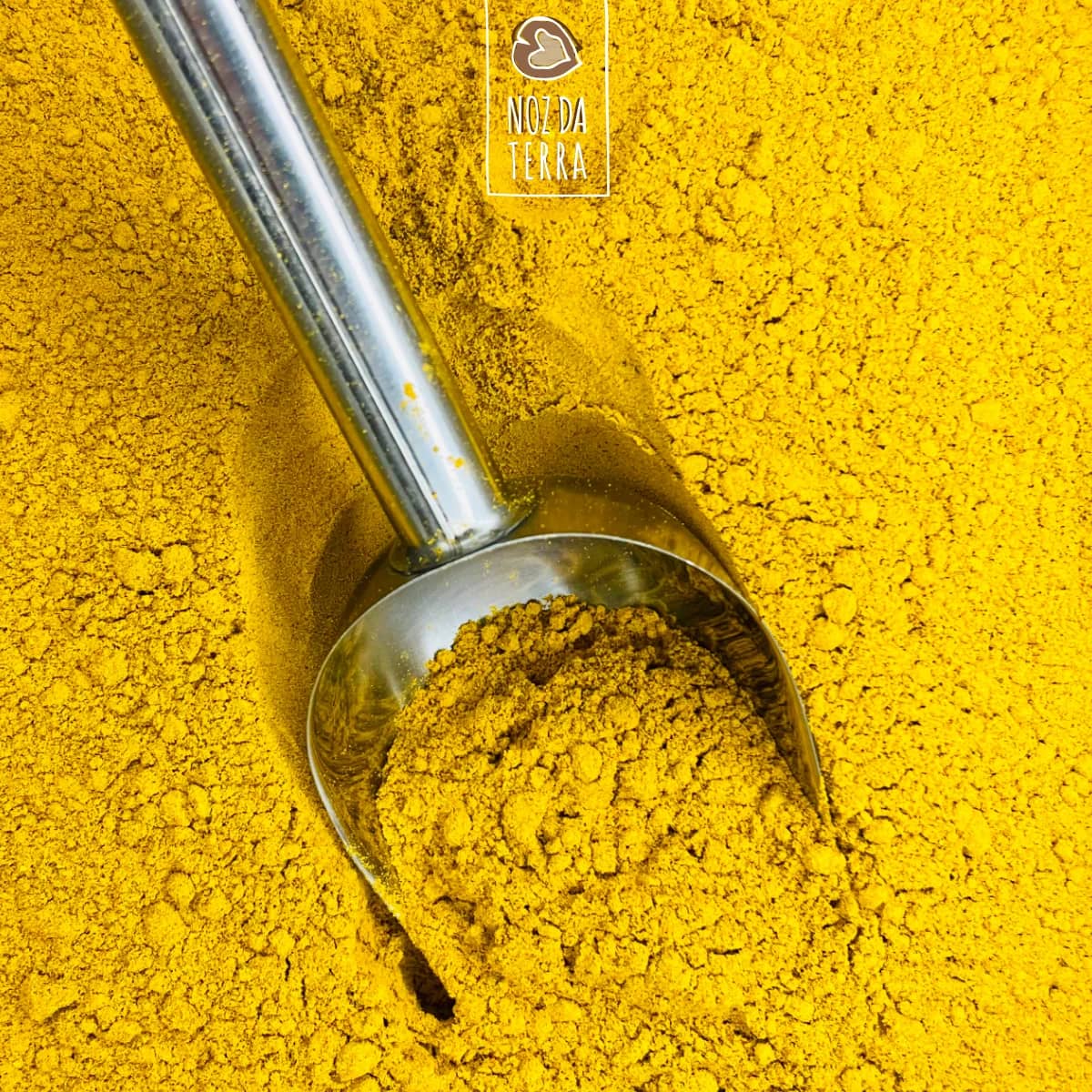 golden milk a granel noz da terra