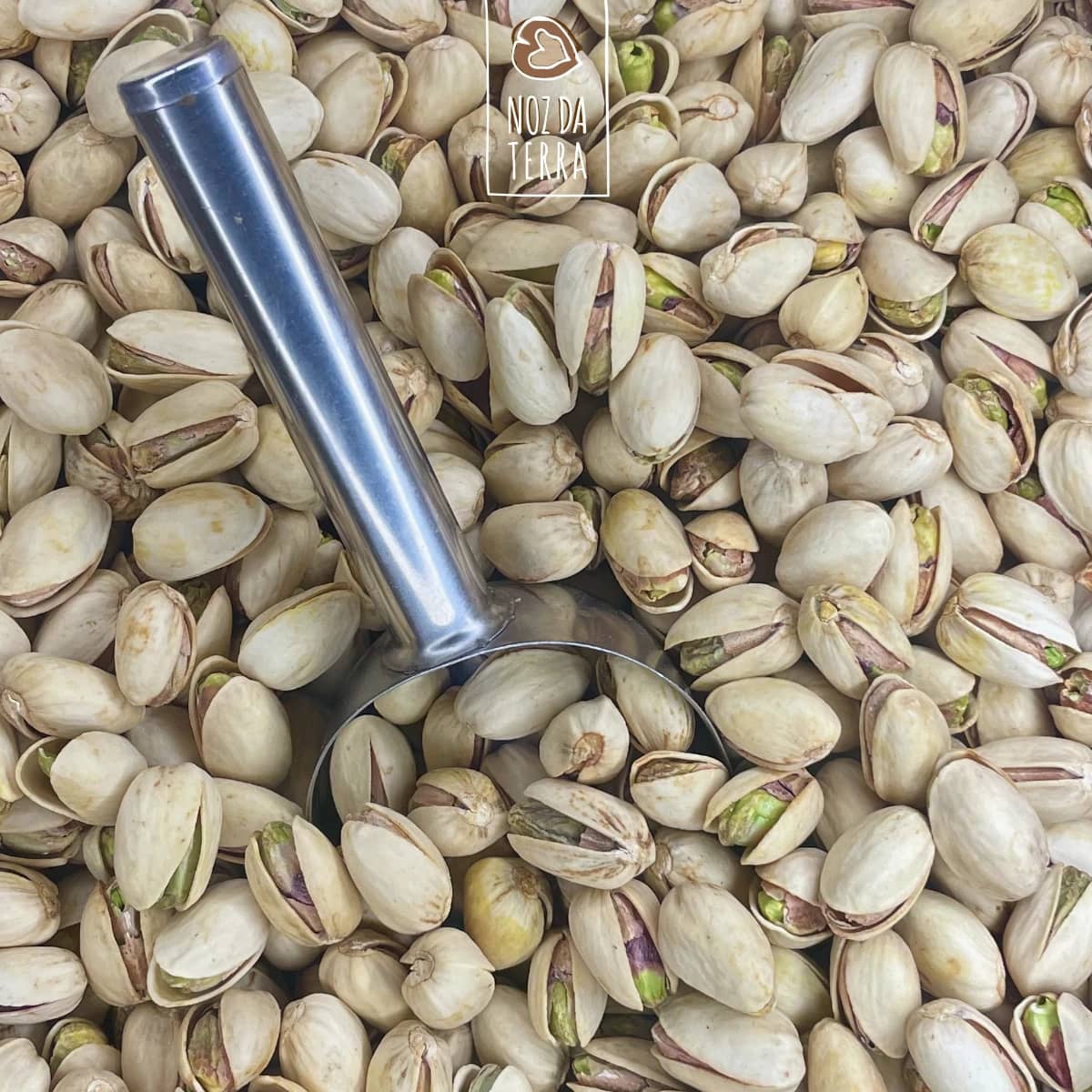pistacho natural sem sal a granel noz da terra