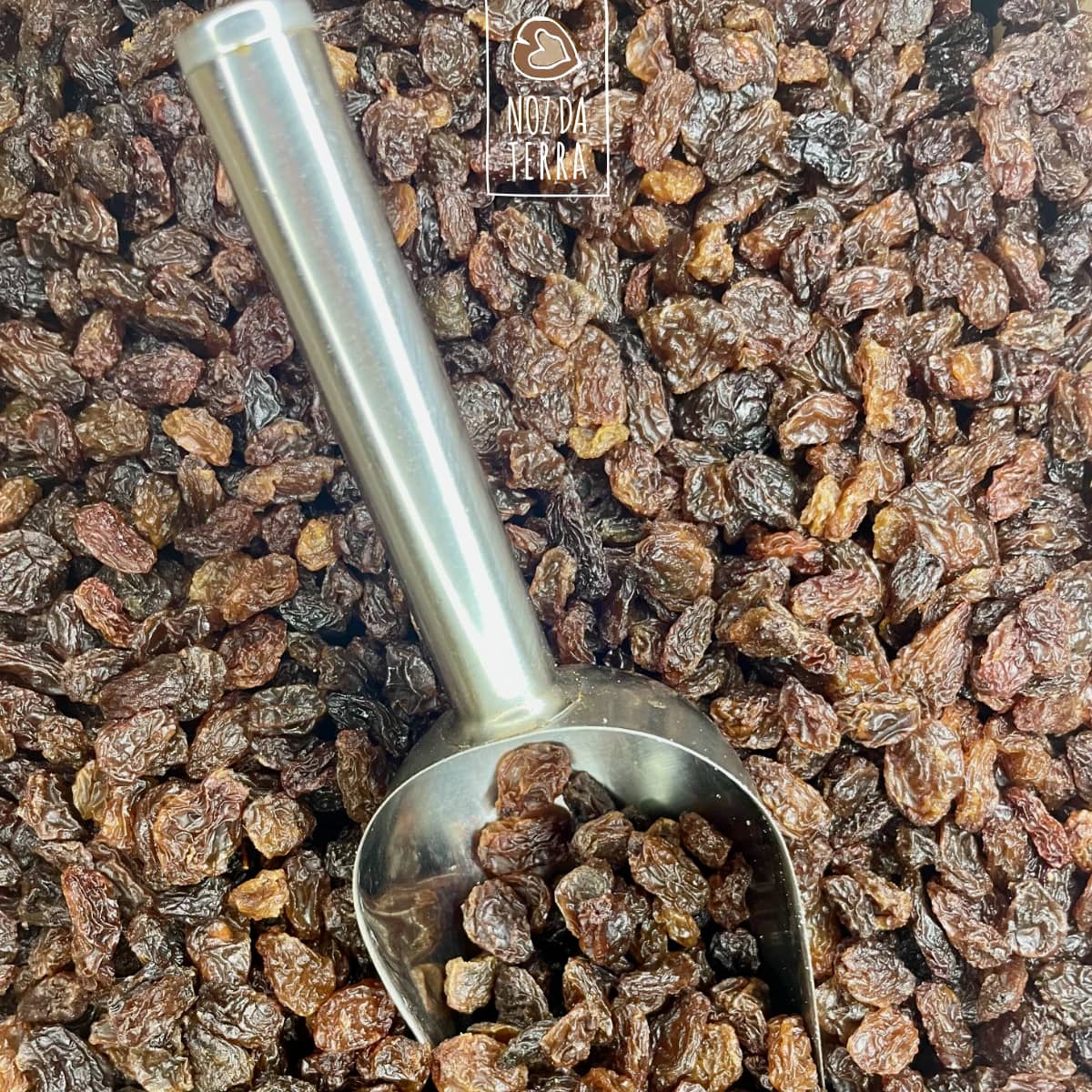 sultana passa castanha a granel noz da terra