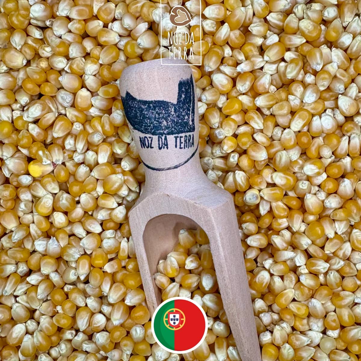 milho para pipocas a granel - noz da terra