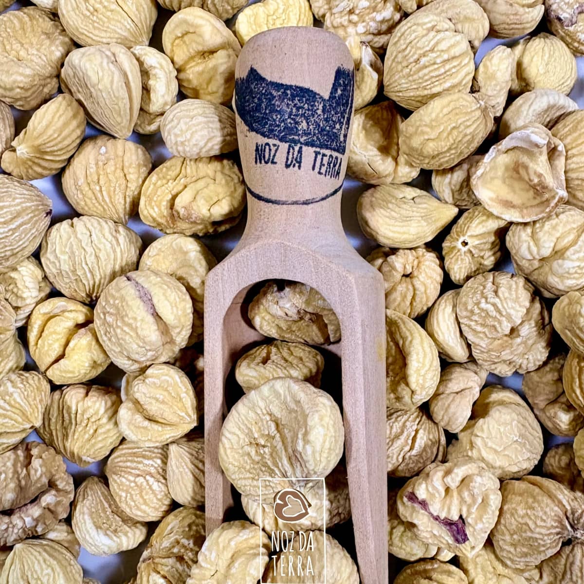 Castanhas piladas secas, descascadas e desidratadas, ideais para demolhar, cozer e utilizar em receitas doces e salgadas.