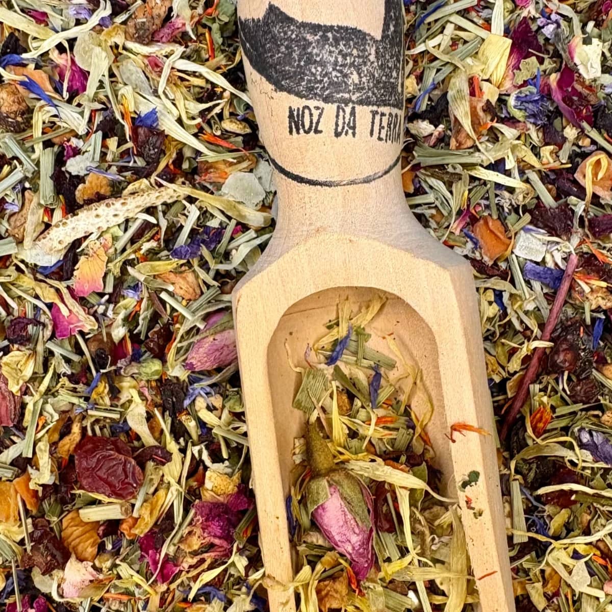 Desfrute da Tisana Celebração Natalícia, uma infusão que combina o calor da canela com a frescura da erva-príncipe, criando uma experiência de sabor reconfortante e ideal para os dias frios de inverno.