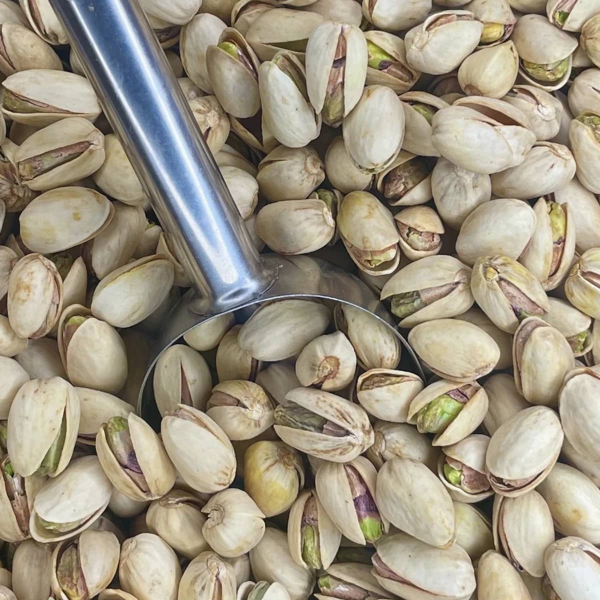 pistacho natural sem sal a granel noz da terra