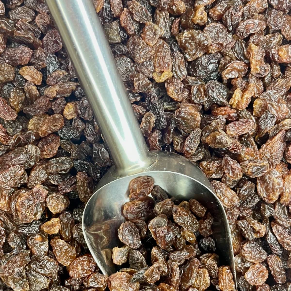 sultana passa castanha a granel noz da terra