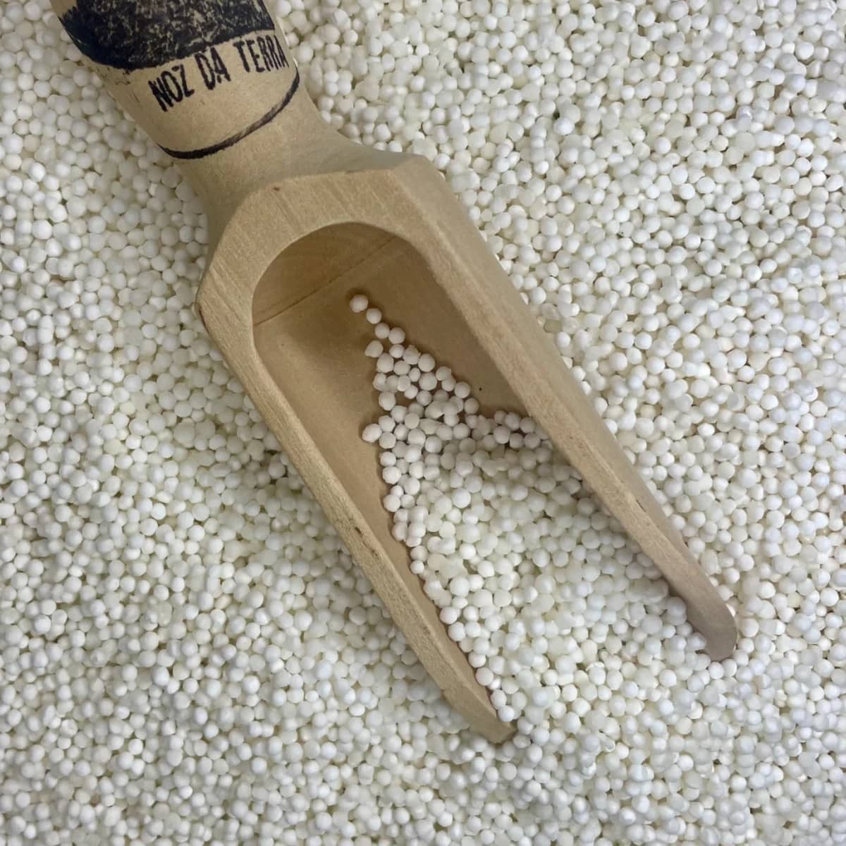 tapioca em pérolas a granel noz da terra