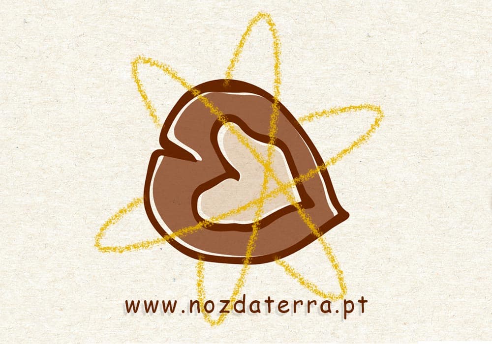 Novo desafio Noz da Terra