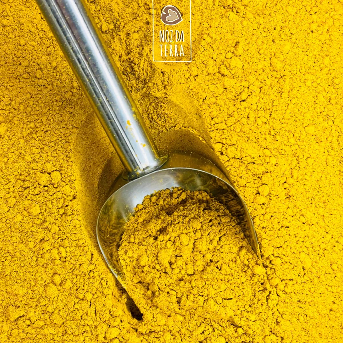 golden milk a granel noz da terra
