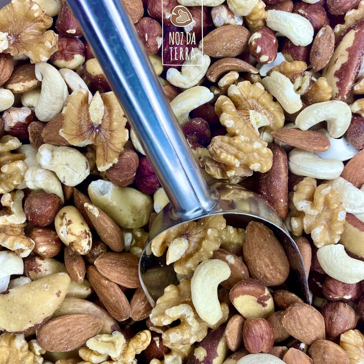 mix de frutos secos mistura a granel noz da terra