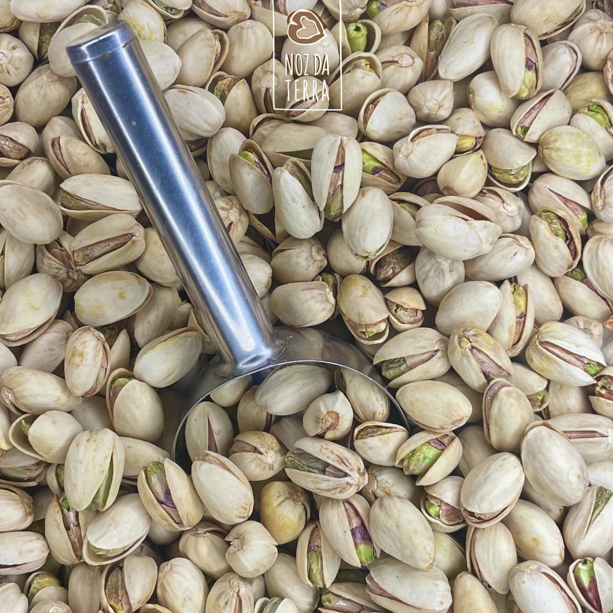 pistacho natural sem sal a granel noz da terra