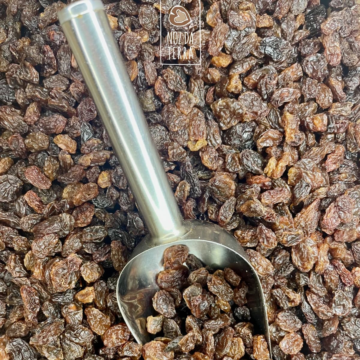 sultana passa castanha a granel noz da terra
