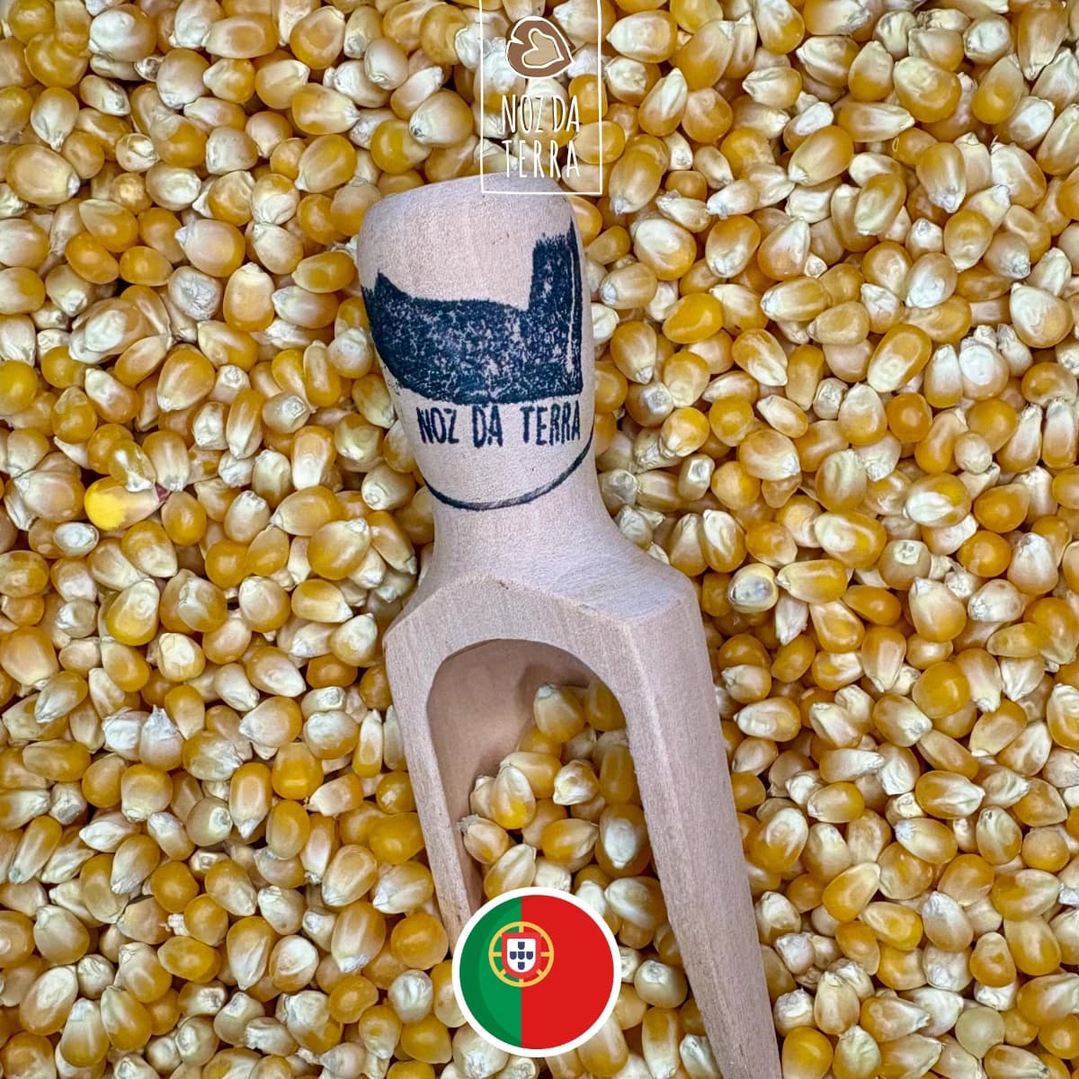 milho para pipocas a granel - noz da terra