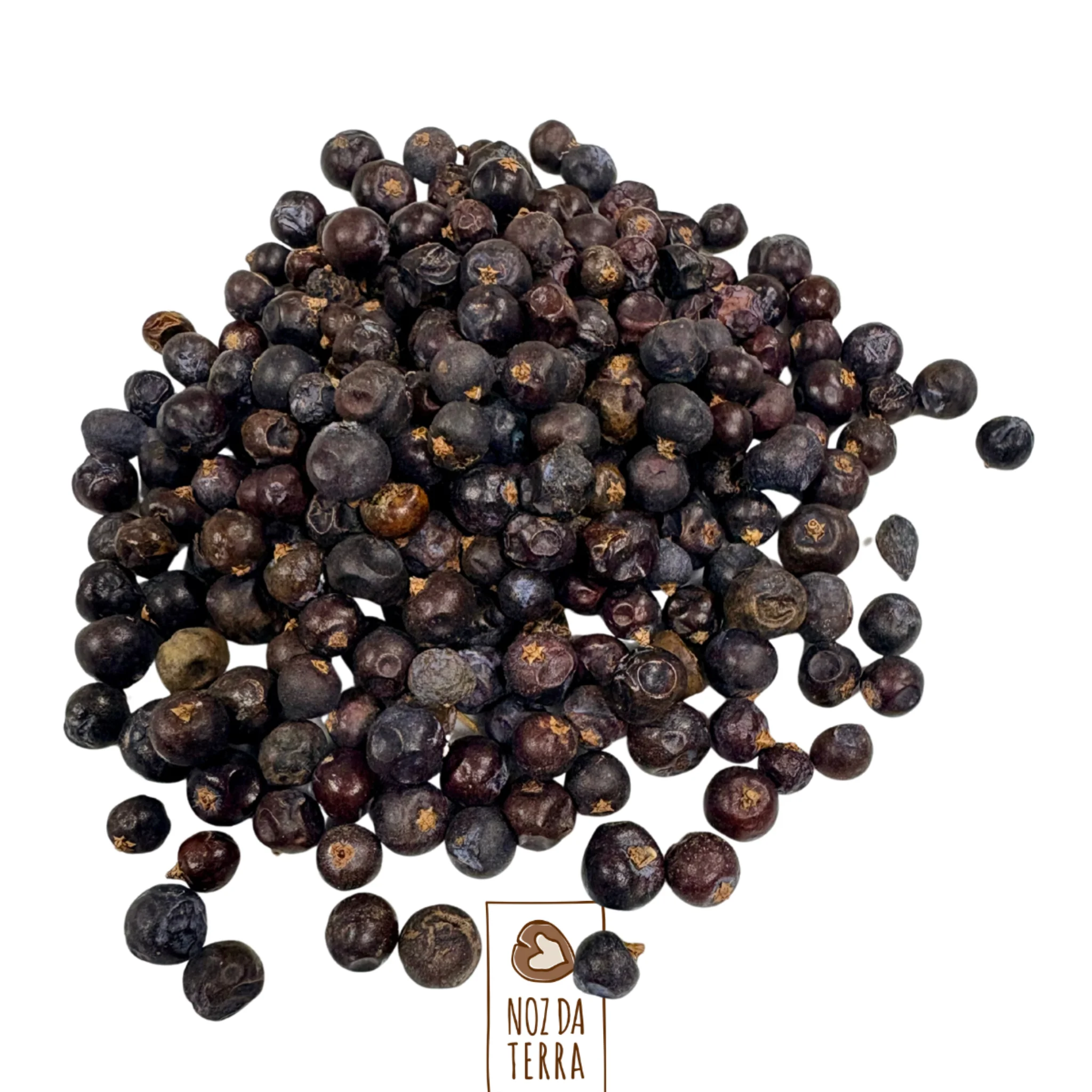 Textura de bagas de zimbro secas, especiaria aromática muito usada na culinária europeia e na produção de gin.
