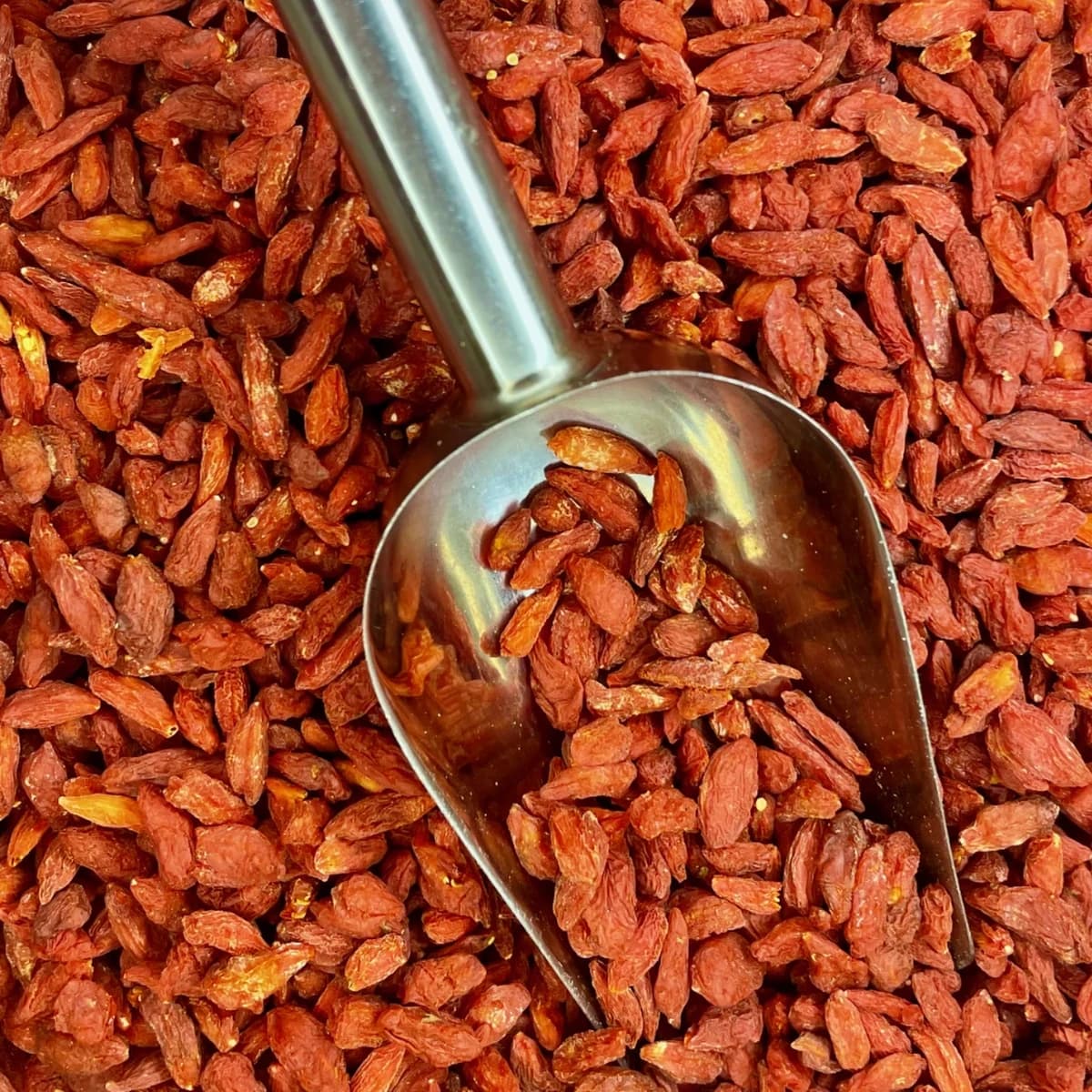 bagas de goji a granel noz da terra
