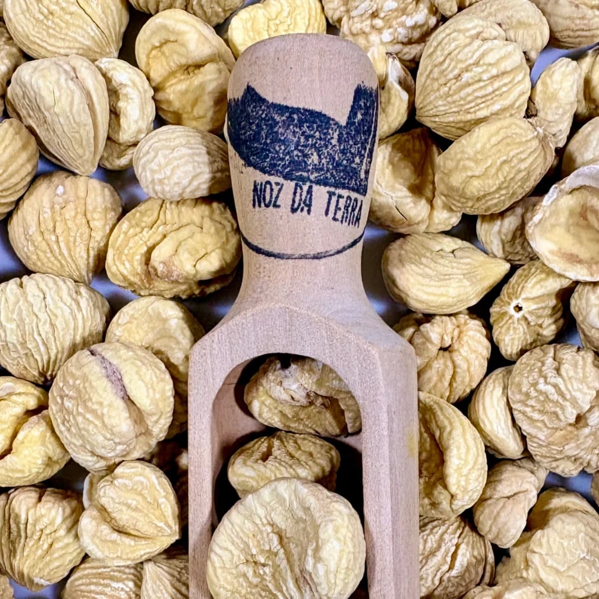 Castanhas piladas secas, descascadas e desidratadas, ideais para demolhar, cozer e utilizar em receitas doces e salgadas.
