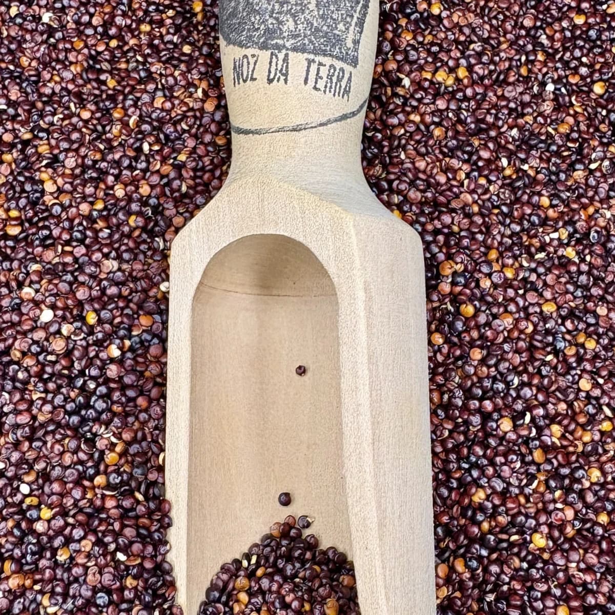 Feijão azuki bio a granel, uma leguminosa versátil de sabor adocicado, ideal para várias receitas do dia a dia.