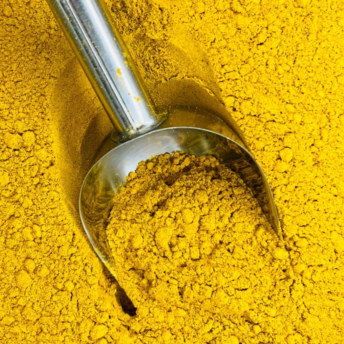 golden milk a granel noz da terra