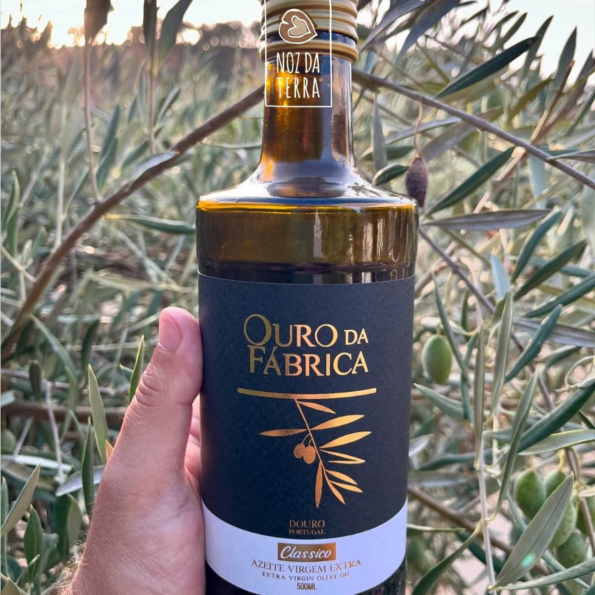 Garrafa de Azeite Virgem Extra Clássico - OURO DA FÁBRICA