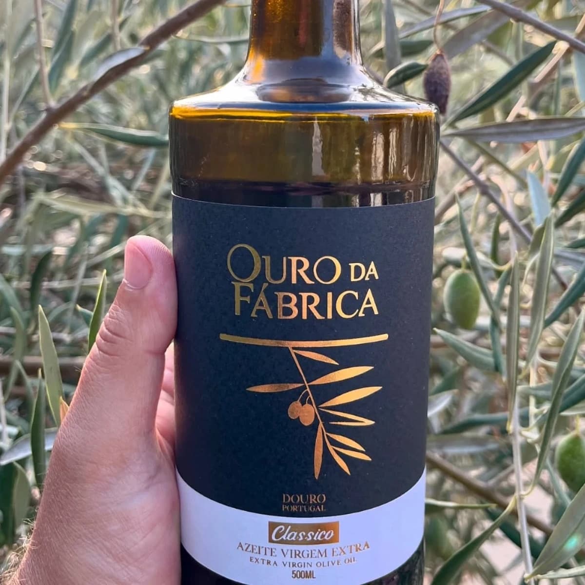 Garrafa de Azeite Virgem Extra Clássico - OURO DA FÁBRICA